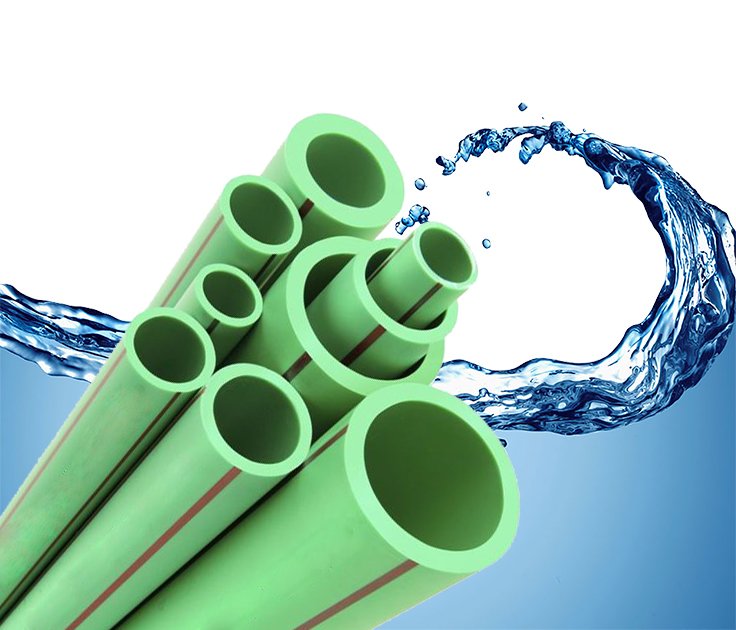 Rex Aqua Solution