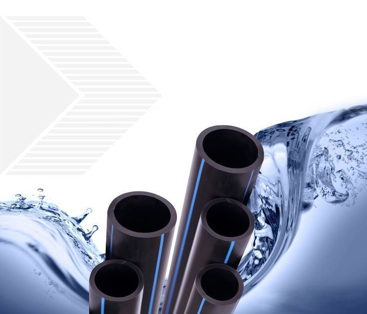 Rex Aqua Solution