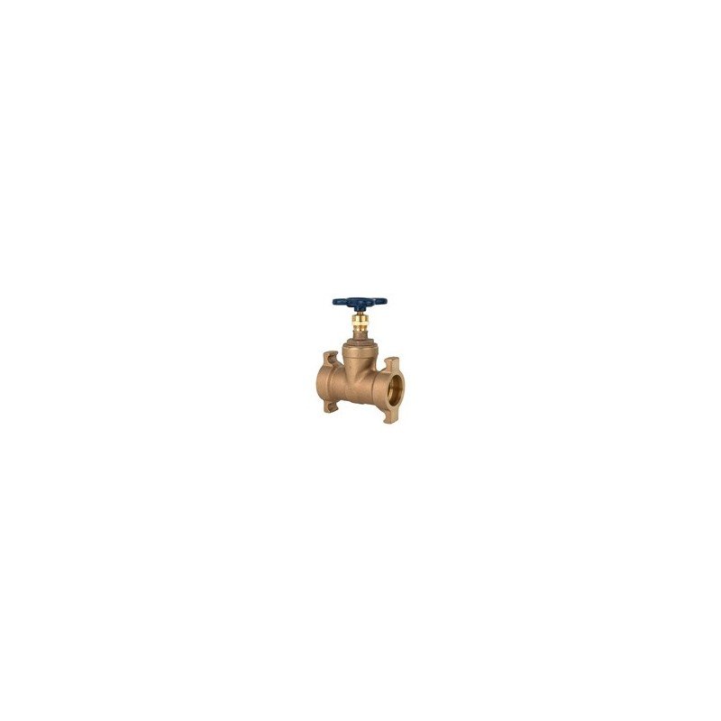 Rex Aqua Solution